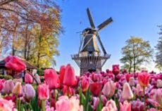 Adana'dan Benelux & Paris & Alsace Promo Turu SunExpress ile (Kurban Bayramı Özel)