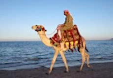 İstanbul Hareketli Sharm El Sheikh Turu Ajet ile