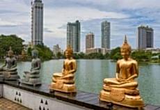 Elegant Sri Lanka Colombo Air Arabia İle