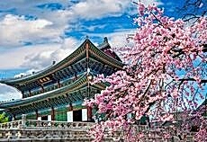 Elegant Japonya & Güney Kore Turu THY ile