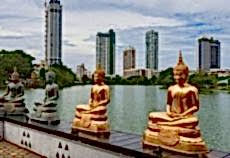 Büyük Sri Lanka Turu Miras & Doğa ve Kültür THY ile
